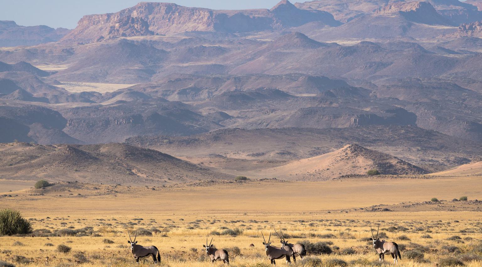 Wilderness Damaraland Camp 1