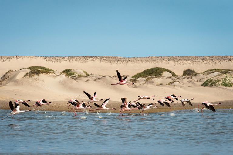 Hoanib Skeleton Coast Camp On the Water