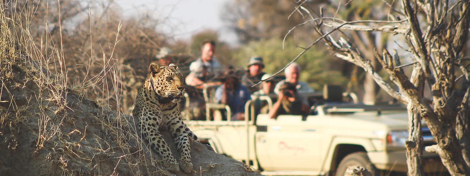 Okonjima Reserve Game Drive