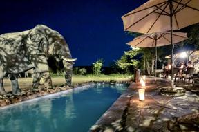 Ongava Tented Camp Elephant at pool at night