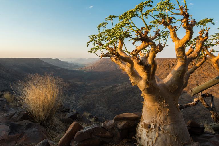 Damaraland Canyon SS