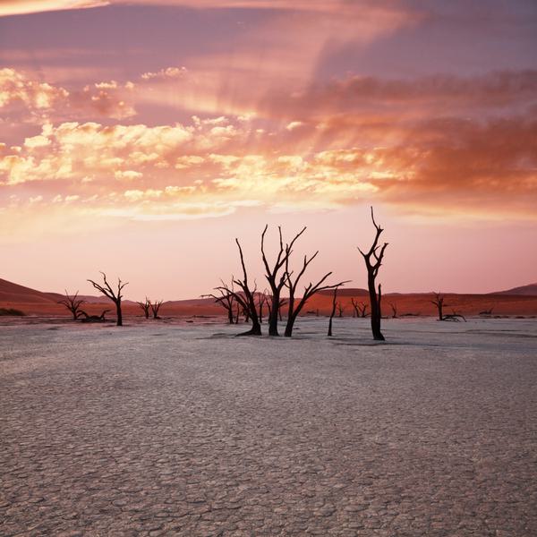 Deadvlei sunset portrait