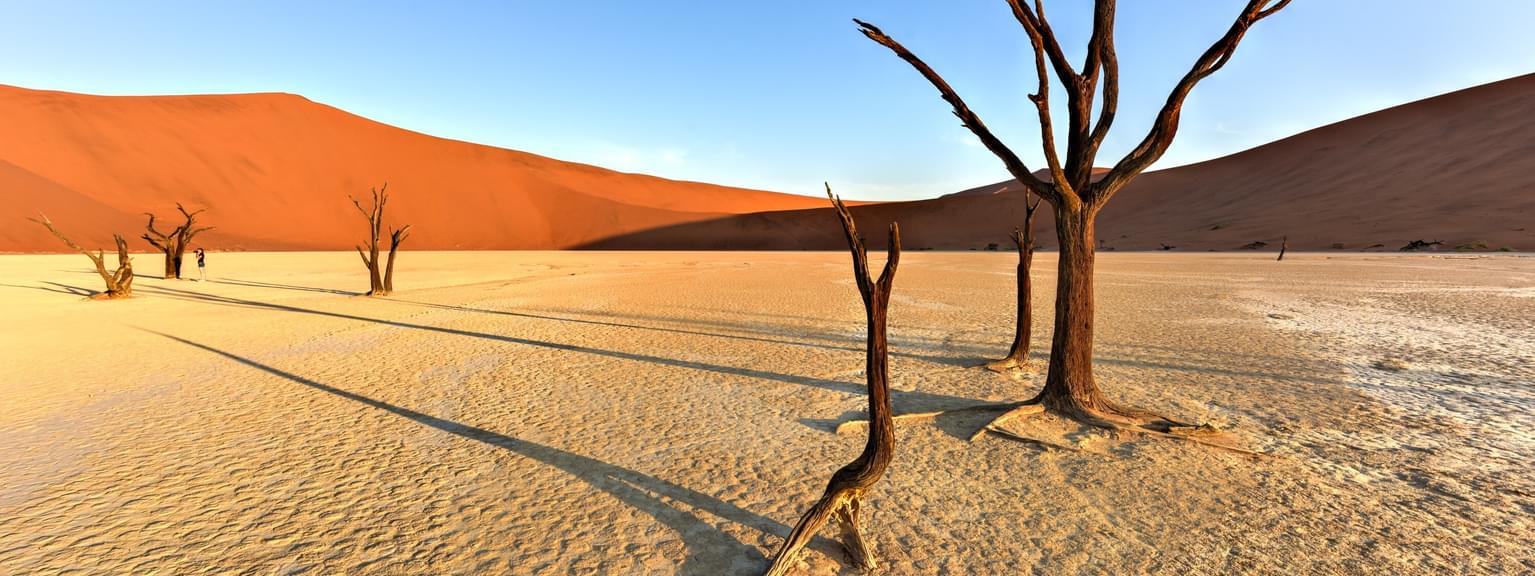 Namib Desert Dead Vlei SS landscape