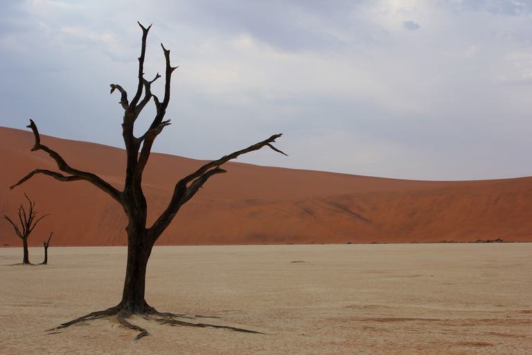 Dead Vlei Landscape Ultimate Safaris
