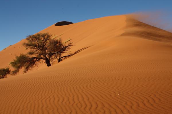 Namib Dunes Ultimate Safaris