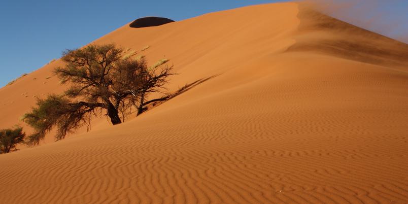 Namib Dunes Ultimate Safaris