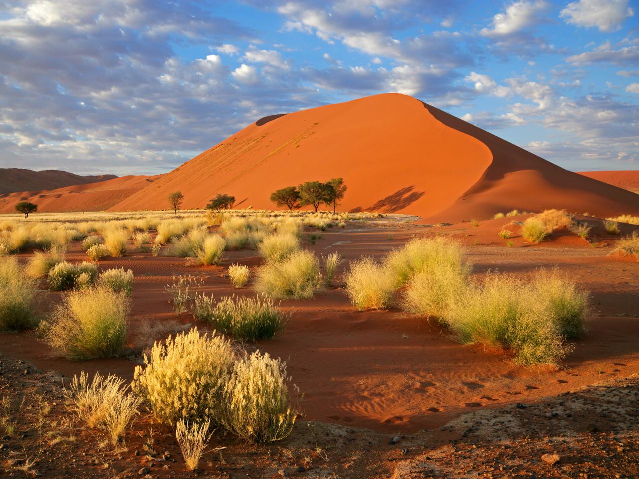 Sossusvlei dunes scrub in foreground Itinerary Hero SS