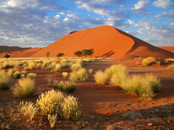 Sossusvlei dunes scrub in foreground Itinerary Hero SS