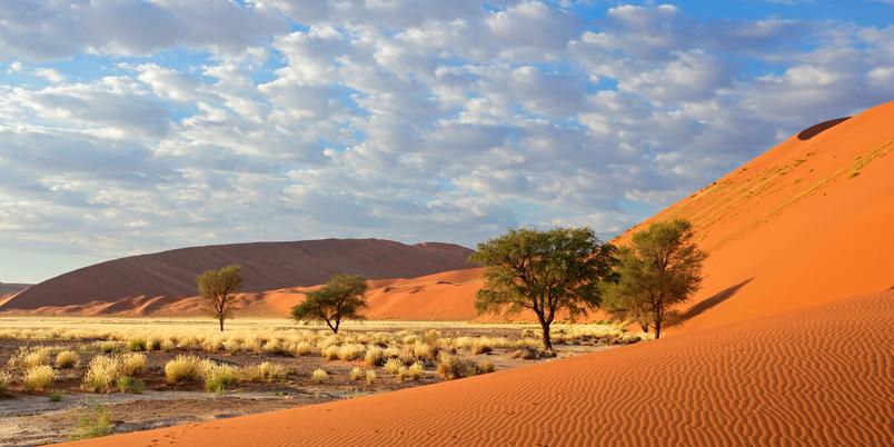 Sossusvlei landscape with Acacia trees SS