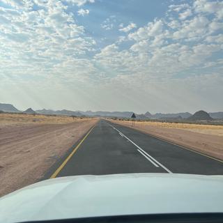 Namibian open tarmac road portrait