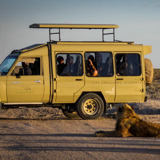 Small group safari Ultimate Lions Etosha National Park