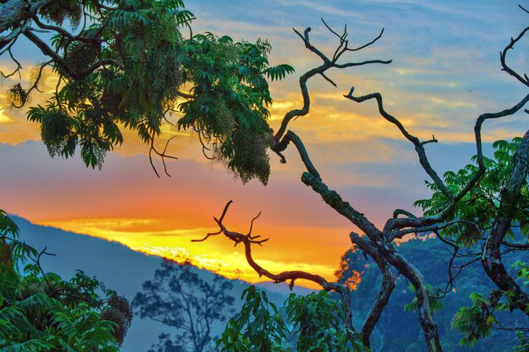 Kivu region sunset through trees VR