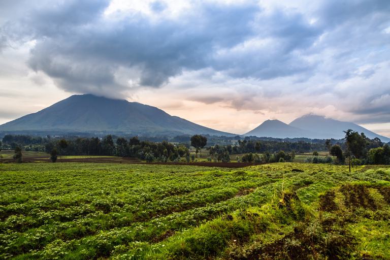 Virunga volcano NP Farmland view SS