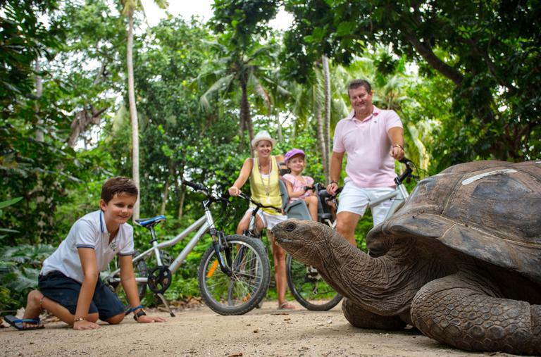 North Island giant tortoises