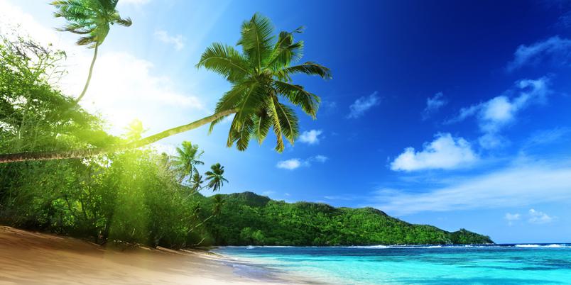 Mahe island Beach palm trees SS