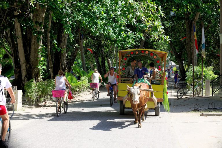 Oxcart La Digue STB