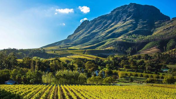 BROOKDALE cape winelands south africa