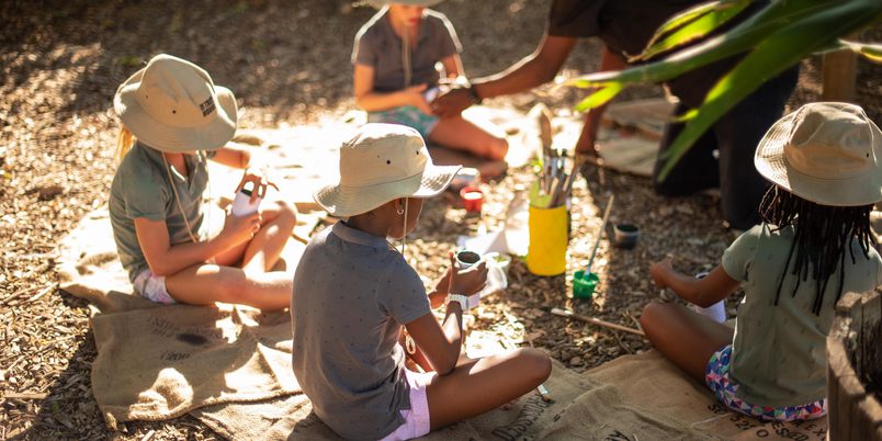 Boschendal Playing in the Treehouse