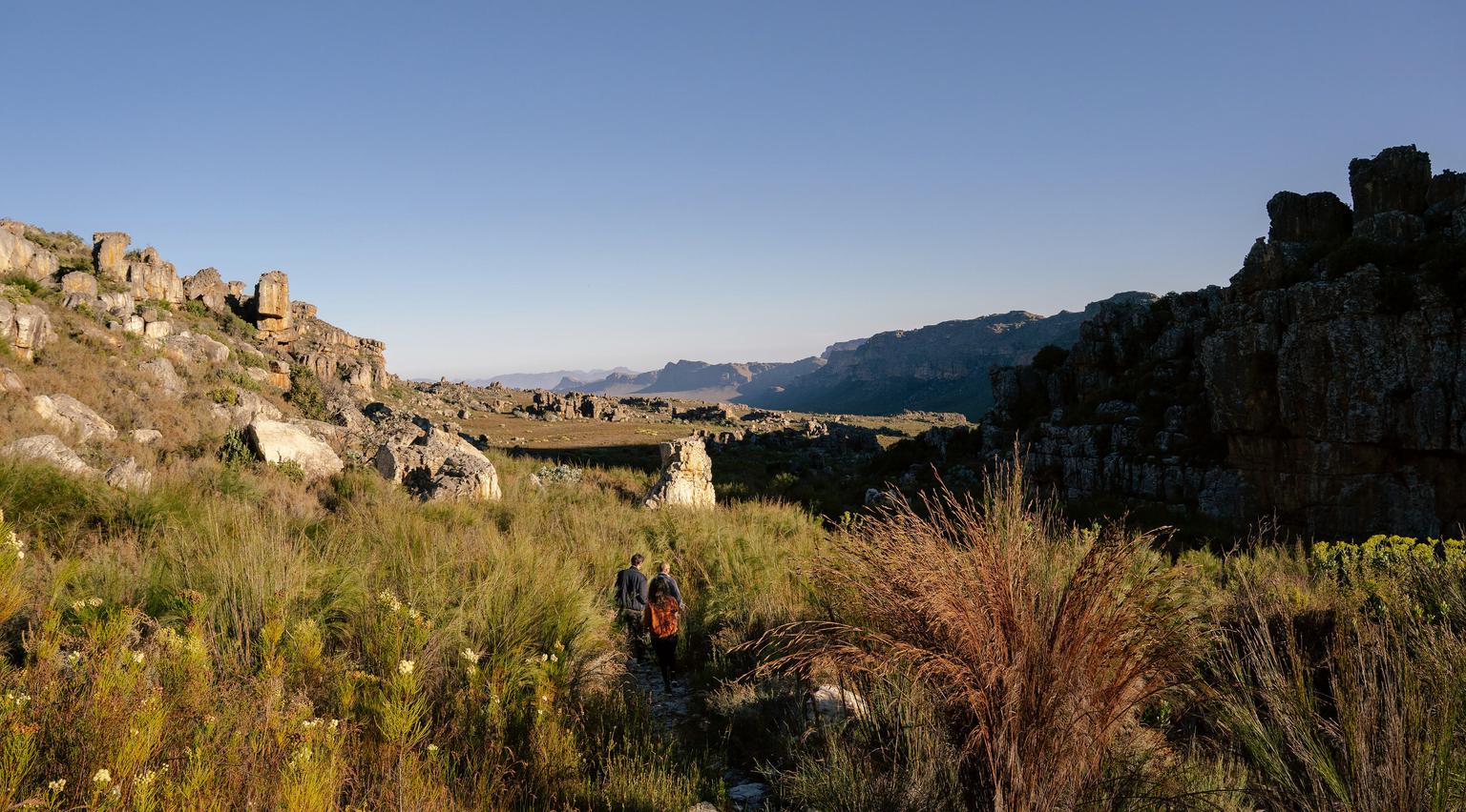 Cederberg Ridge Exploring