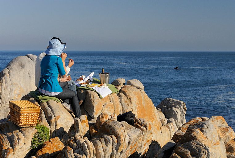 Grootbos Whale Watching