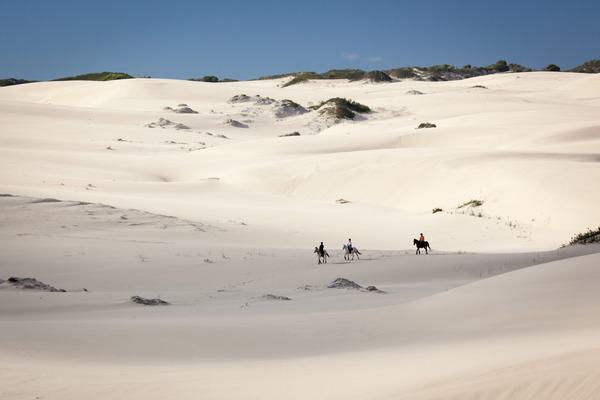 Grootbos horseriding beach