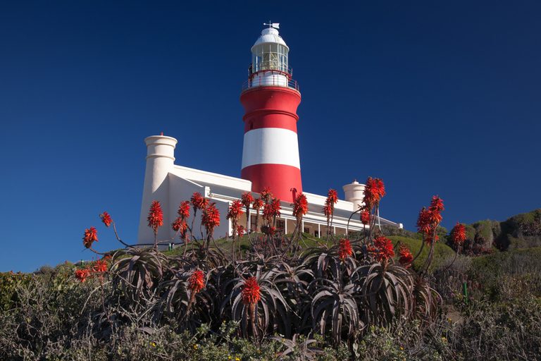 Grootbos southern tip of africa re white lighthouse