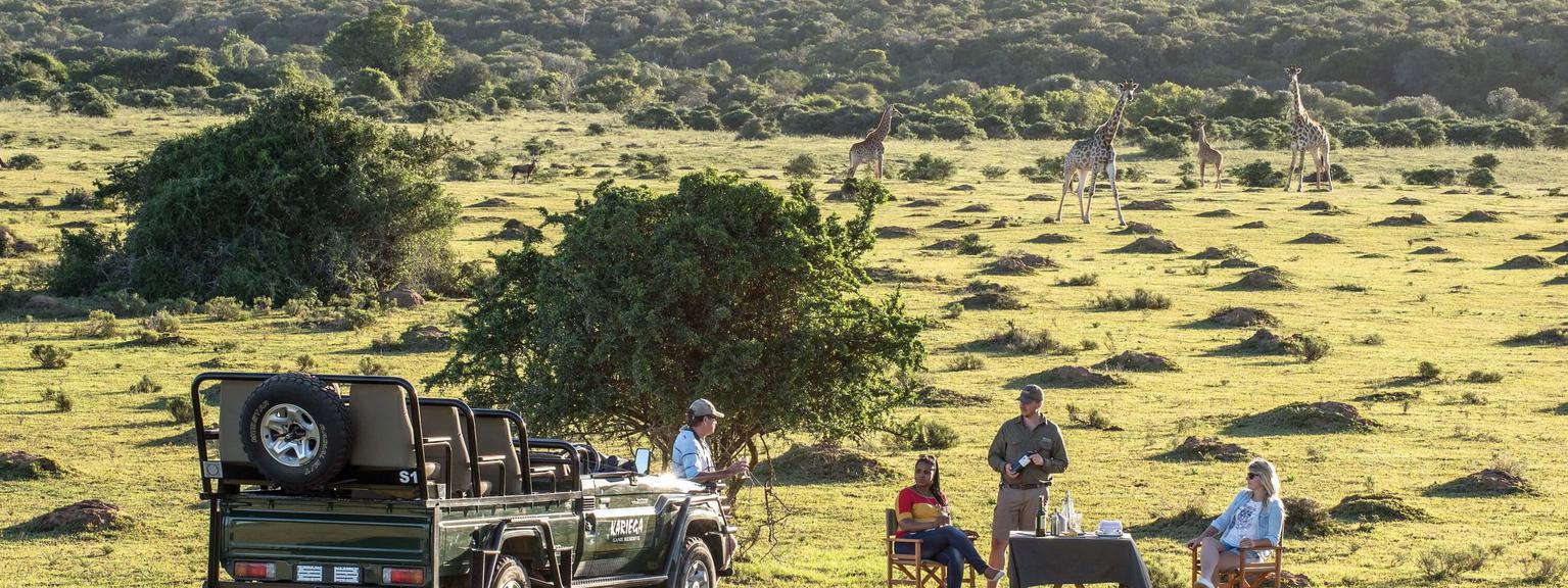 Kariega Game Reserve Picnic with Giraffes