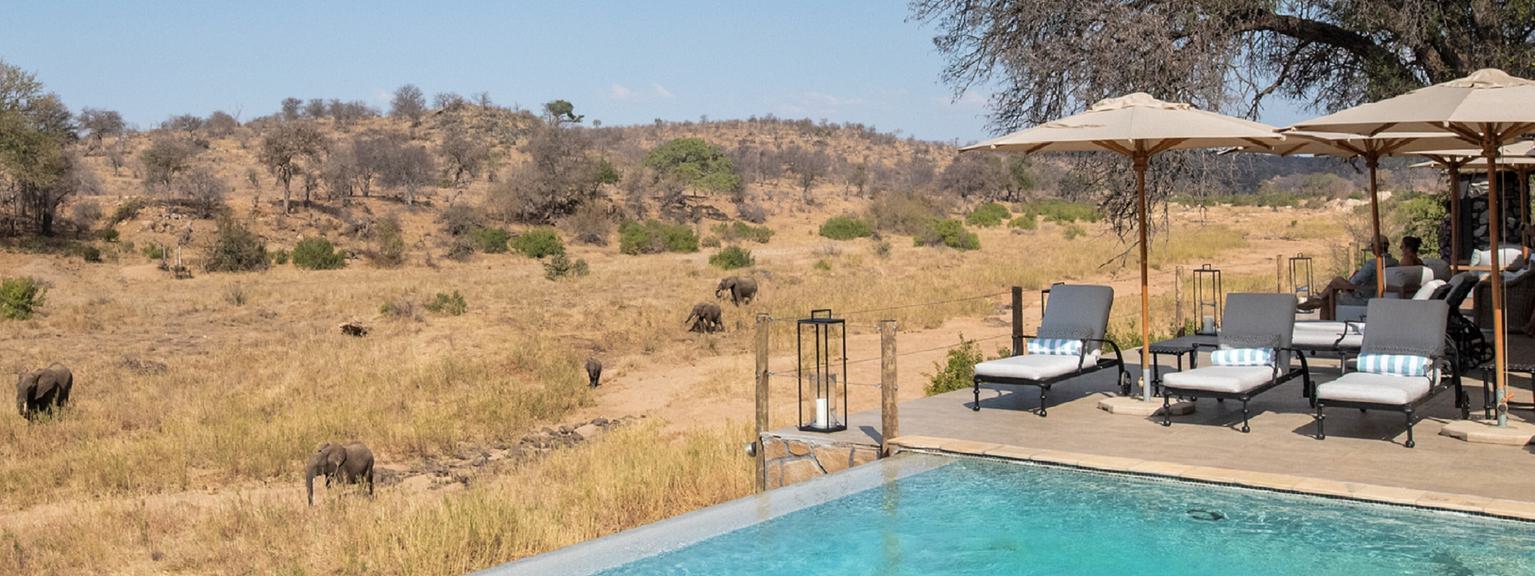 The Last Word Kitara Pool and Ellies Hero