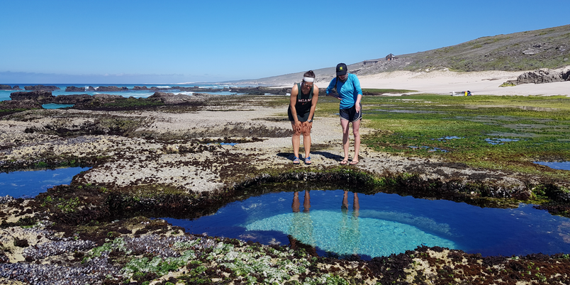 Lekkerwater Beach Rock Pools