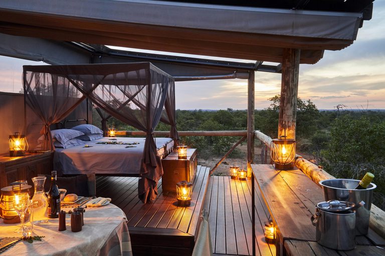 Giraffes Nest Bedroom Motswari Game Reserve