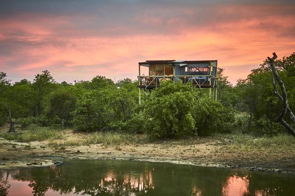Giraffes Nest Sleepout exterior view Motswari Game Reserve