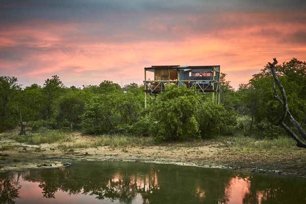Motswari Private Game Reserve Giraffe s Nest
