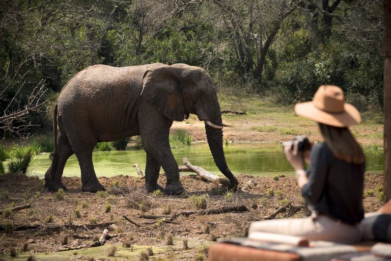 Phinda Homestead View from the Pool
