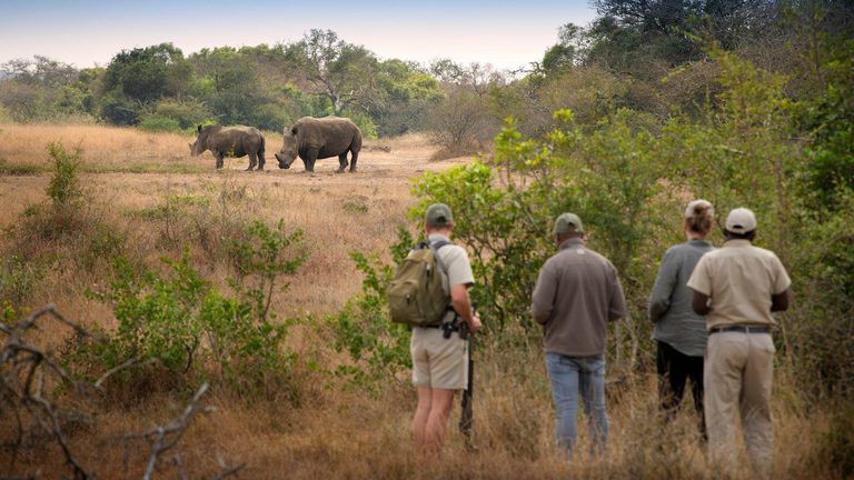 Phinda Private Game Walk