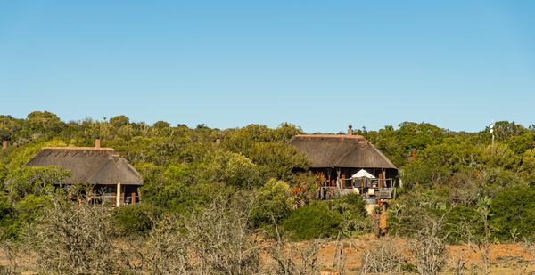 Pumba Game Reserve Lodge Exterior