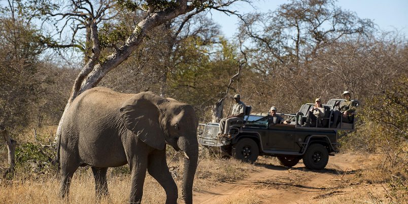 On safari with elephants at Rock Fig Safari Lodge