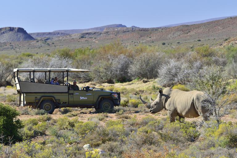 Sanbona game drive with rhino