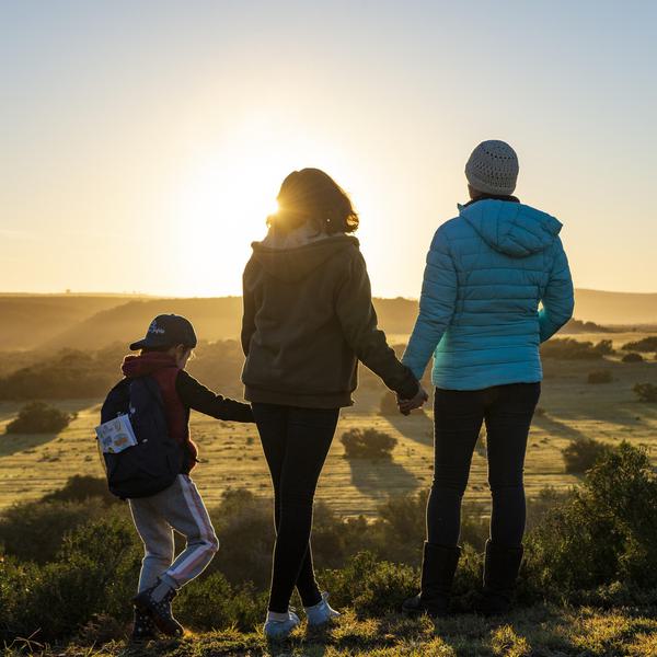 Shamwari Family sunset SQUARE