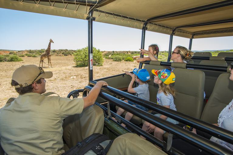 Shamwari Kids on Safari game drive