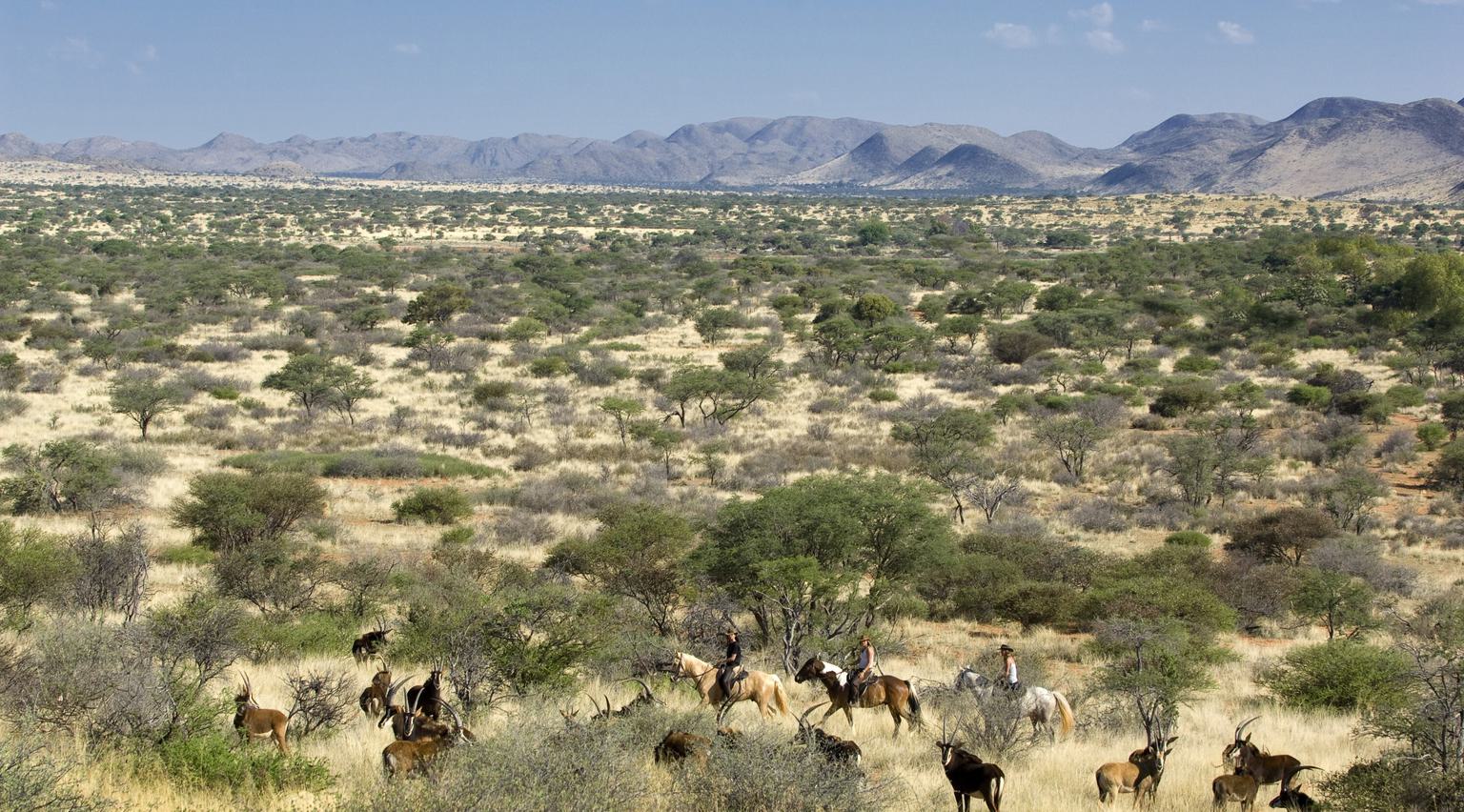 Horseriding in landscape Tswalu