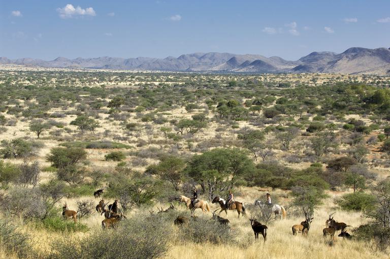 Horseriding in landscape Tswalu