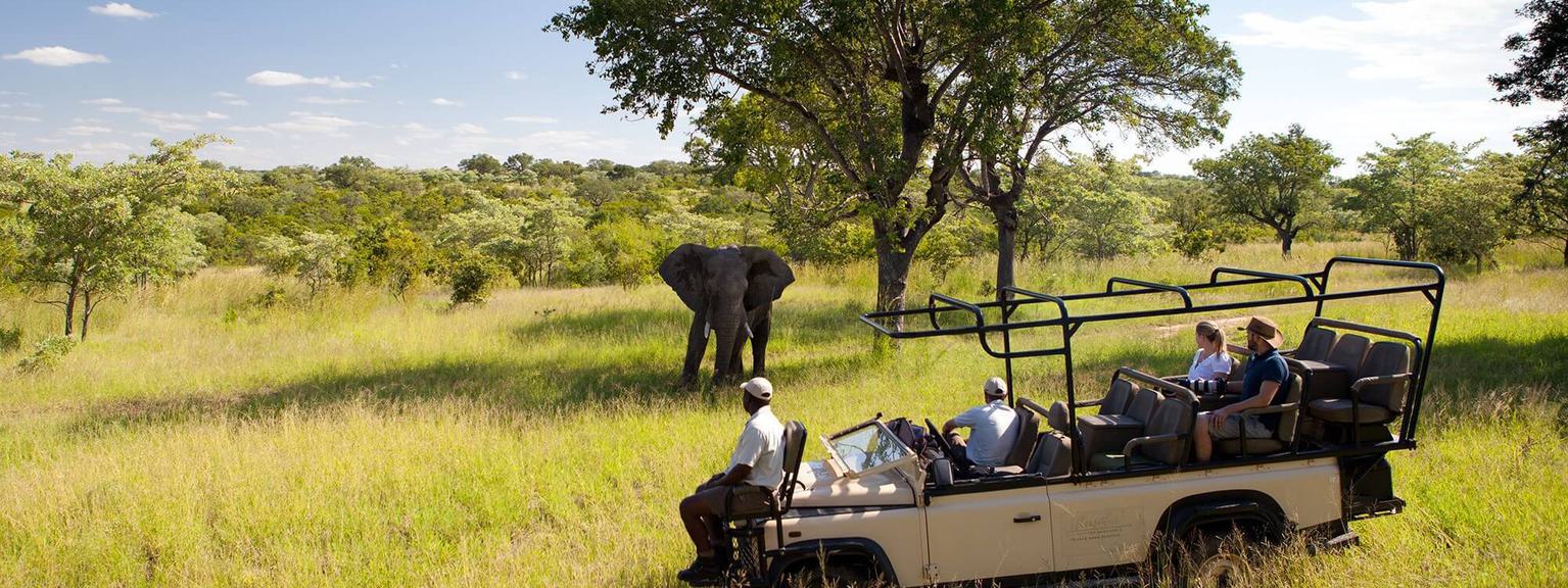Elephant on game drive Ulusaba