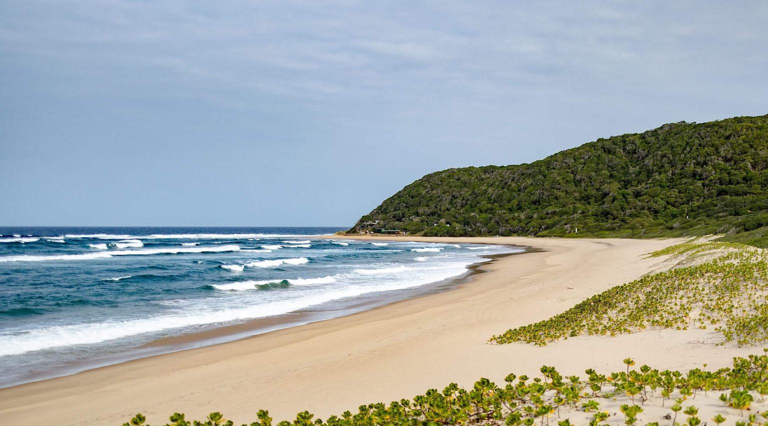Bhanga Nek Beach Kosi Forest