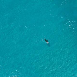 Drone shot of a surfer in sea SAT