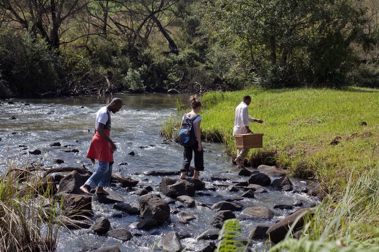 Picnic in the Midlands at Granny Mouse House SAT