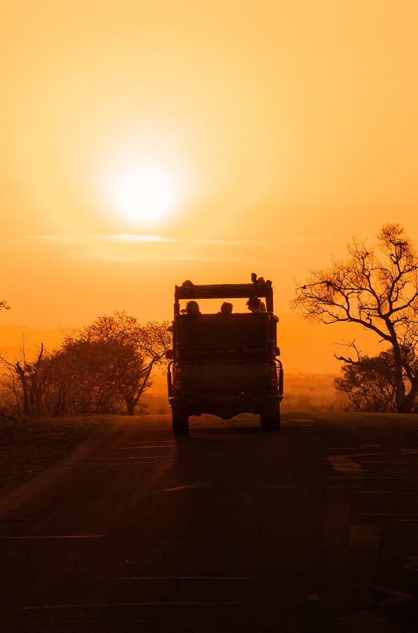 Game vehicle driving into sunset Kruger SS PORTRAIT