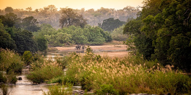 Rhino Post Safari Lodge Kruger Wildlife 3