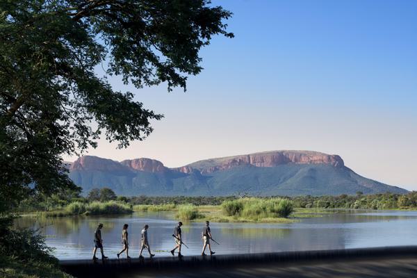 Walking safari mountain backdrop Marakele National Park