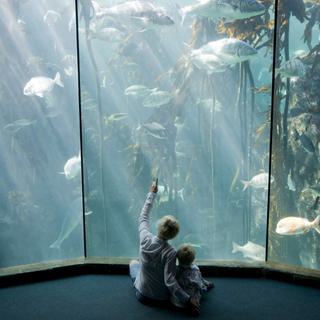 Children Sat at Two Oceans Aquarium Cape Town SAT