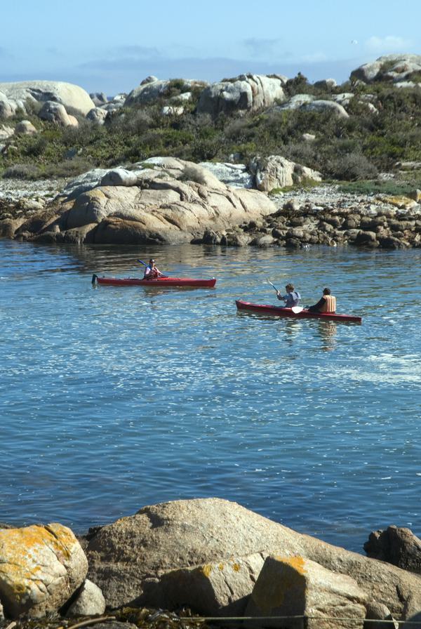 Kayaking around Cape Town